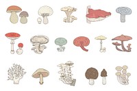 Colored drawing set of mushrooms