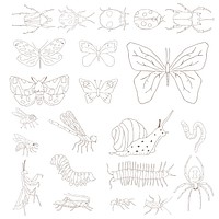Vector of different kinds of insects