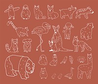Handd-rawn of wildlife collection illustration