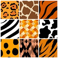 Set of seamless animal print pattern vectors