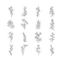 Blooming botanical element design vector
