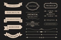 Vintage banner and design element collection vectors