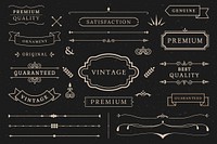 Vintage premium label collection vectors