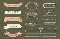 Vintage banner and design element collection vectors