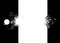 White and black ink splashes vector
