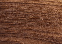 Brown wooden textured background vector