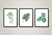 Leaves on a frame collection vector