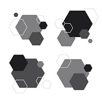 Black and white hexagon geometric pattern badge vectors set