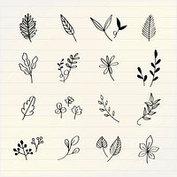 Various leaves doodle collection vector