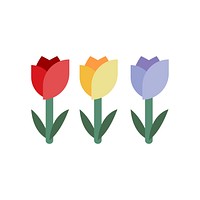 Three colorful tulip vector