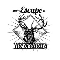 Motivational quote Escape the ordinary badge vector