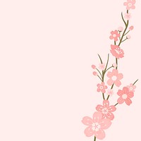 Pink cherry blossom blank background vectot
