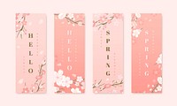 Pink cherry blossom banner vector