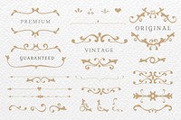 Premium vintage bronze ornamental design element collection vector