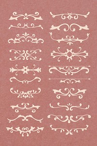 Premium vintage white ornamental design element collection vector