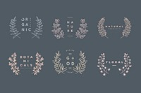 Botanical laurel wreath collection vector