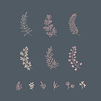 Botanical laurel design element vector collection