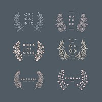 Botanical laurel wreath collection vector