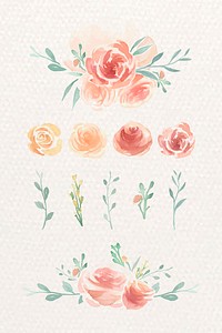 Watercolor flower elements vector collection