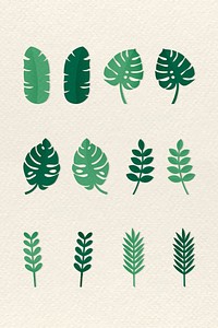 Green tropical leaves on beige background vector collection