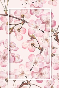Rectangle cherry blossom frame vector