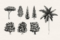 Hand drawn trees in gray vector set