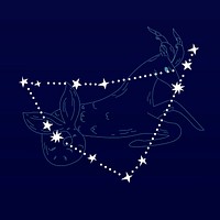 Capricorn astrological sign design vector