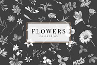 Flowers collection on a black background vector