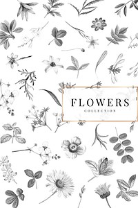 Flowers collection on a white background vector