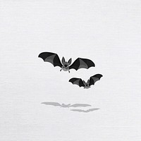 Bat elements on a white background vector