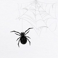 Black spider with web element on white background vector