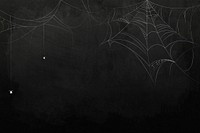 Spider web element onblack background template vector