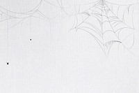 Spider web white background template vector