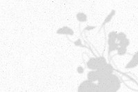 Floral shadow on white marble background vector
