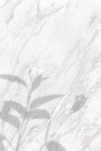 Floral shadow on white marble background vector