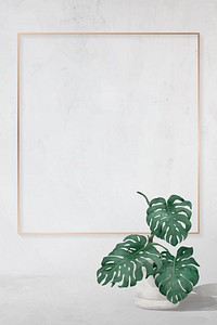 Blank rectangle monstera frame vector