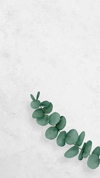 Minimal iPhone wallpaper, white aesthetic background, green plant border