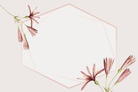 Pink frame with amaryllis montana vector