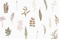 Foliage pattern on white background vector