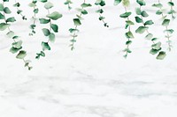 Hand drawn eucalyptus leaf on white marble background vector
