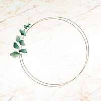 Hand drawn eucalyptus leaf with round gold frame vector
