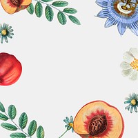 Floral fruity frame design vector