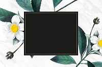 White flower frame psd hand drawn illustration