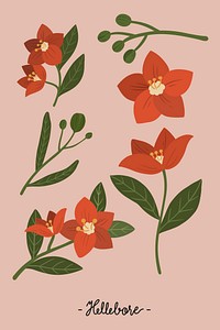 Red botanical on a pink background vector