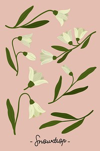 Botanical white flower on a pink background vector