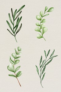 Green leaves collection vector