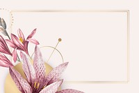 Pink amaryllis pattern with gold frame vector