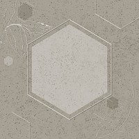 Gray hexagon frame design vector