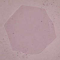 Pink hexagon frame design vector