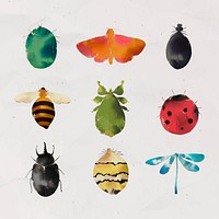 Insects watercolor collection vector